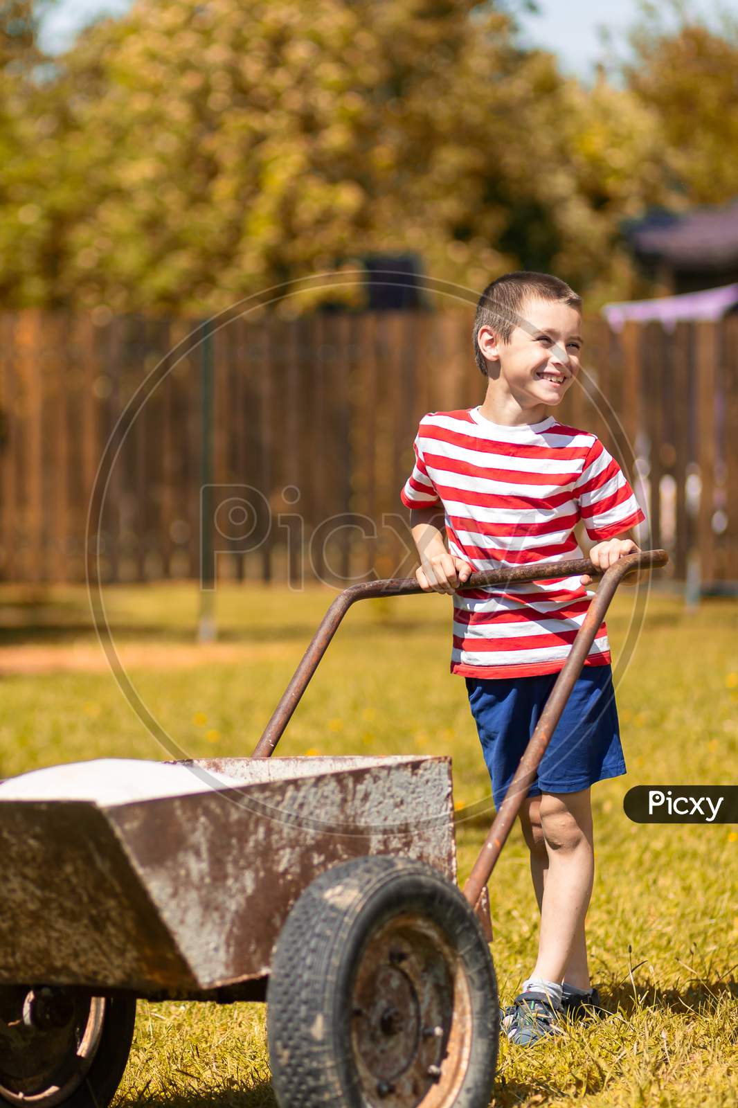 Young Smile Boy Pushes A Wheelbarrow Around A Yard.Boy Helper In T-Short And Shorts Having Fun Pushing Barrow And Gardening At Countryside