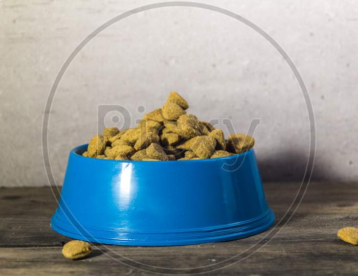 Plastic Plate With Balanced Food For Dogs And Cats