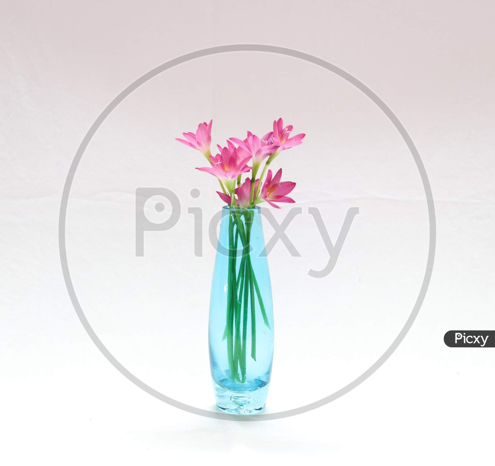 blue slim aesthetic indoor flower vase with pink flowers