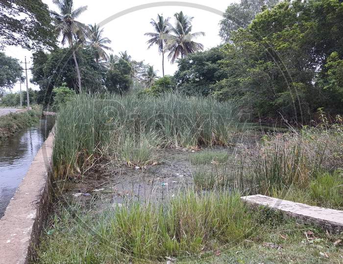 Image of Closeup of beautiful crystal clear lake or pond water flowing ...