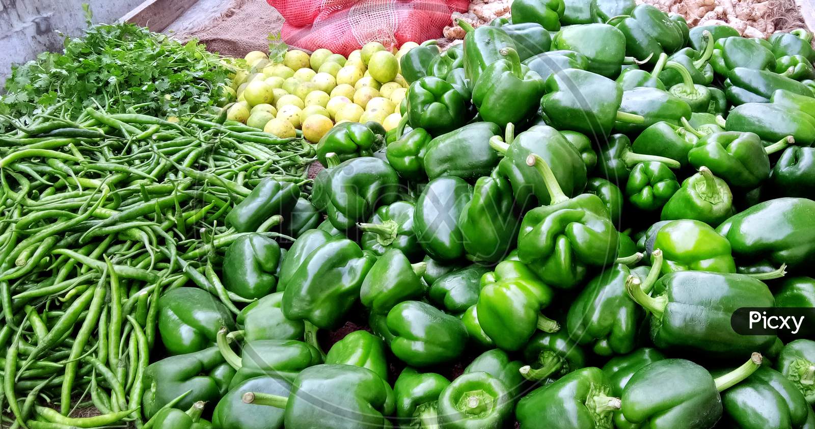 Assortment Of Fresh Vegetables. Capsicum (Shimla Mirchi), Lemon, Spicy Green Chilly, Coriander