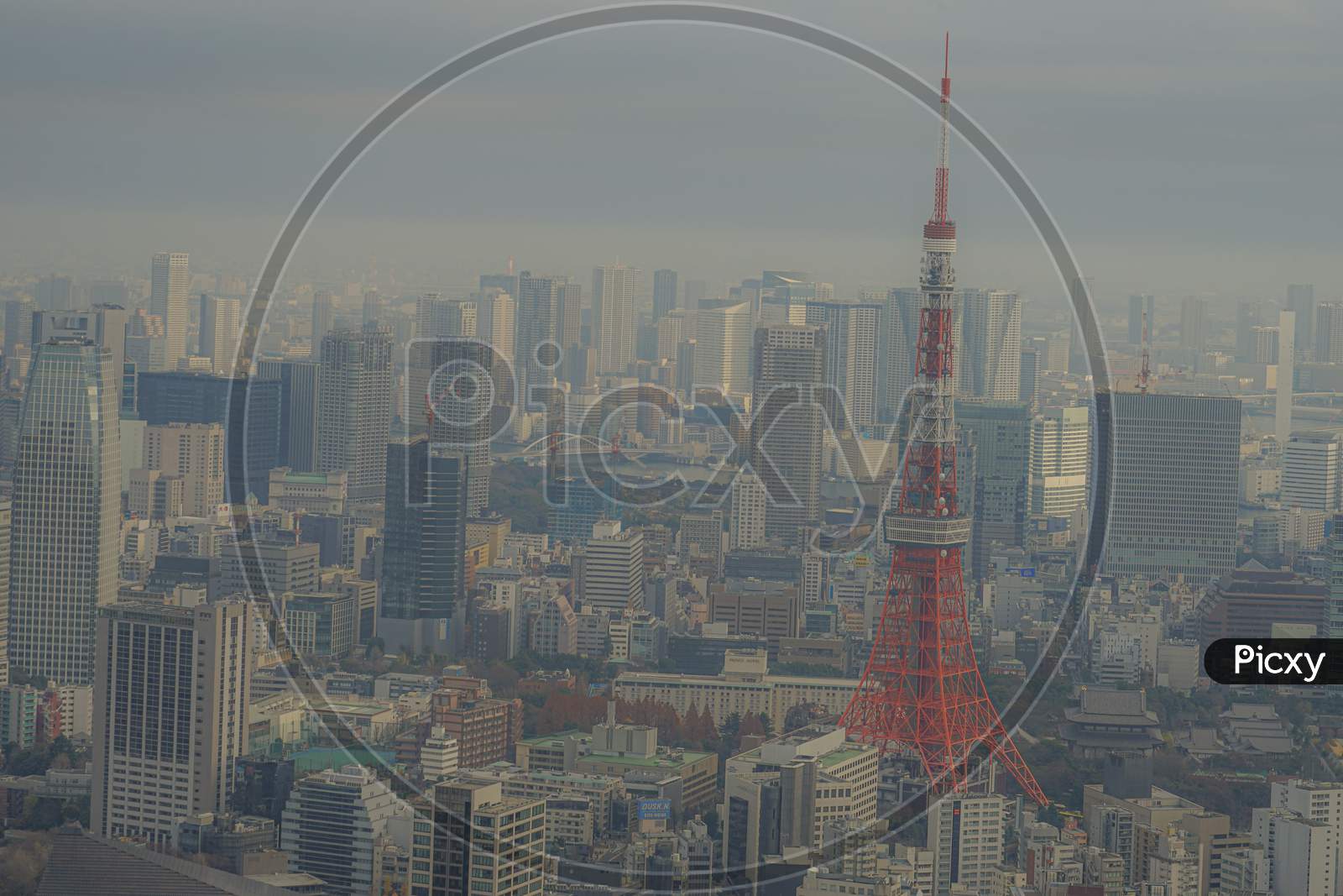 Tokyo Skyline Seen From The Roppongi Hills