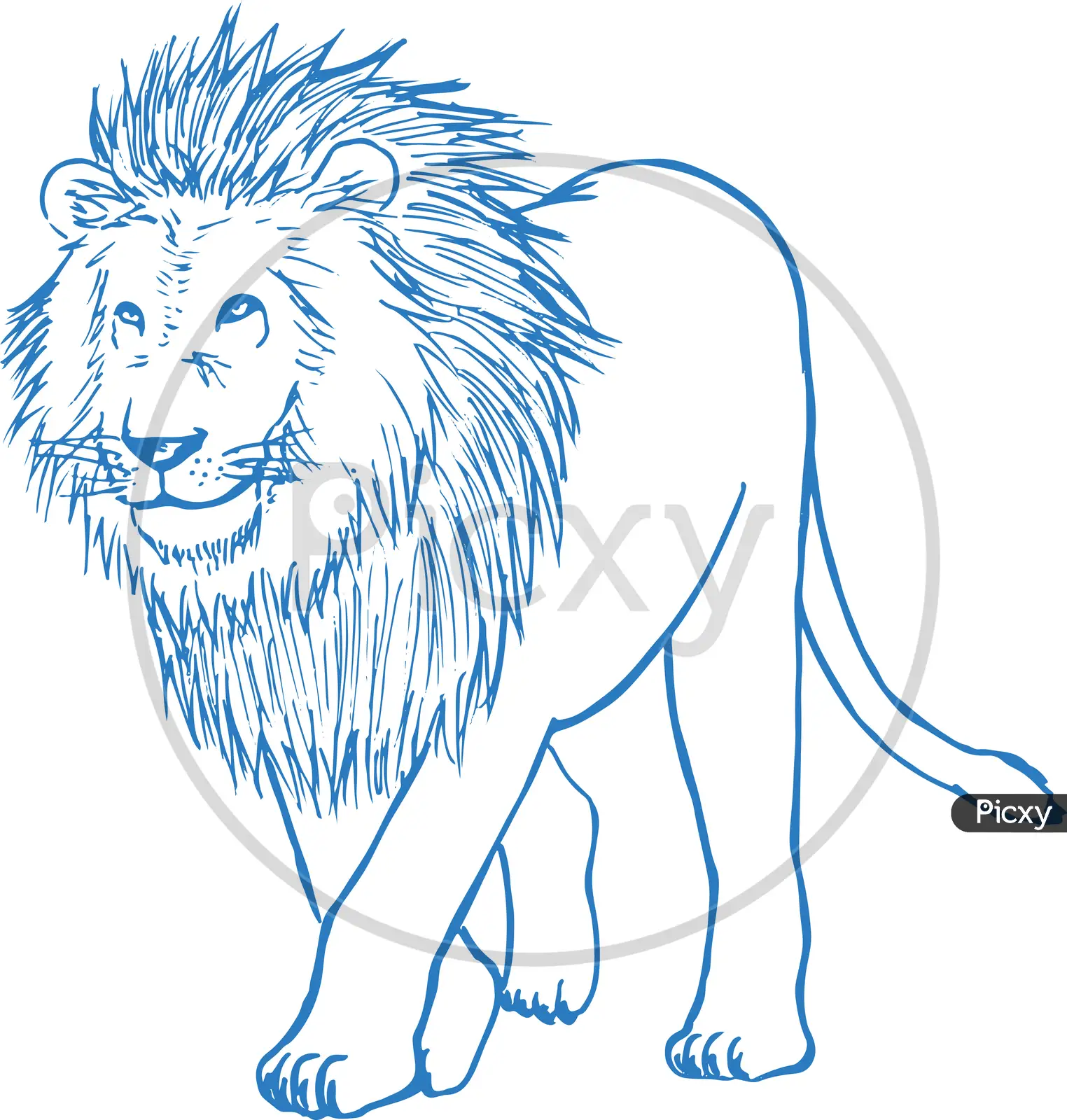 How Do You Draw A Lion Head Background, How To Outline A Picture, How,  Concept Background Image And Wallpaper for Free Download
