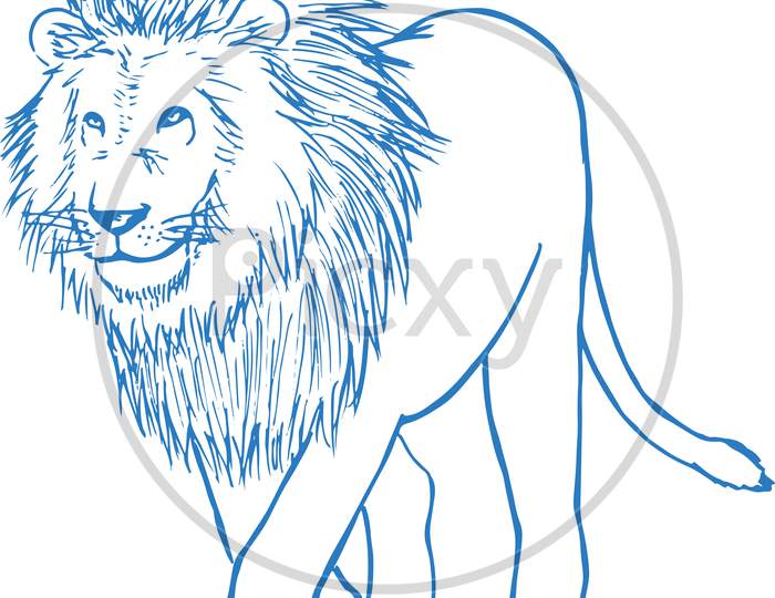 100,000 Lion face outline Vector Images | Depositphotos