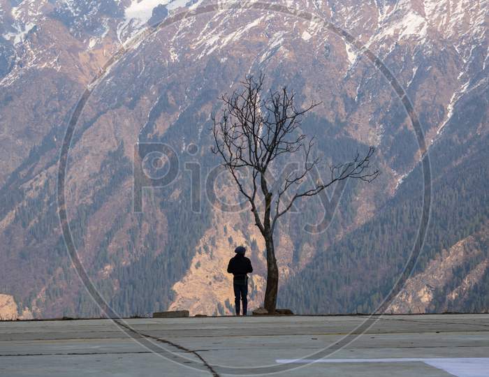 Person Standing Alongside Of A Tree With No Leafs In An Open Field In Front Of A Huge Himalayan Mountain