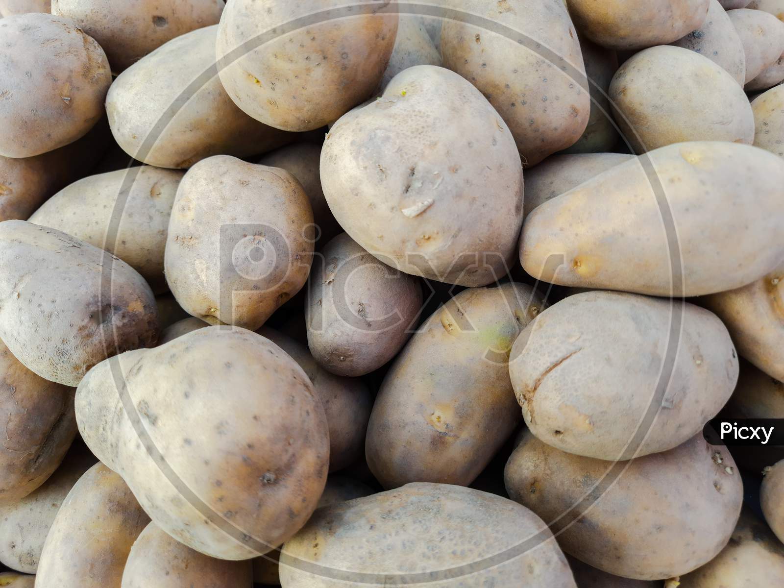 Potatoes In Market For Sale With Mixed Quality Bad And Good