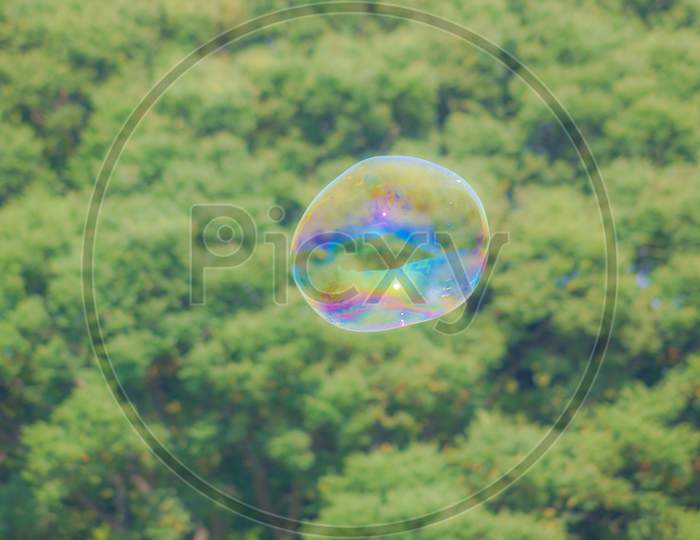 Big Soap Bubble And Forests