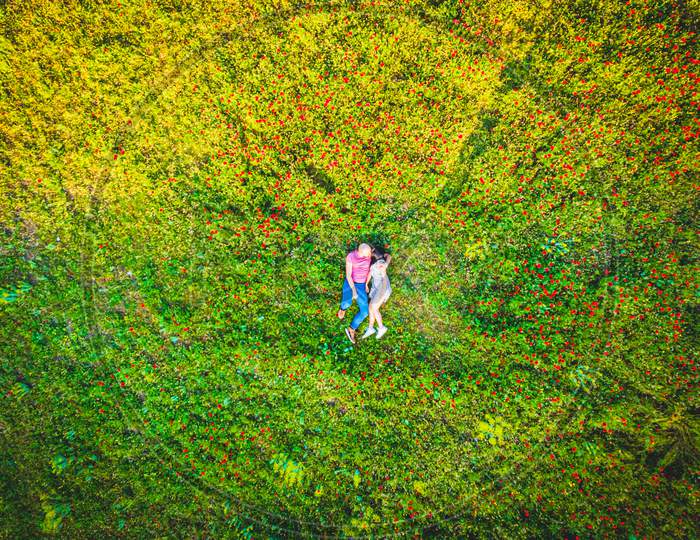 Couple Kissing In Nature Sunny Green Field Outdoors Together From Aerial Perspective