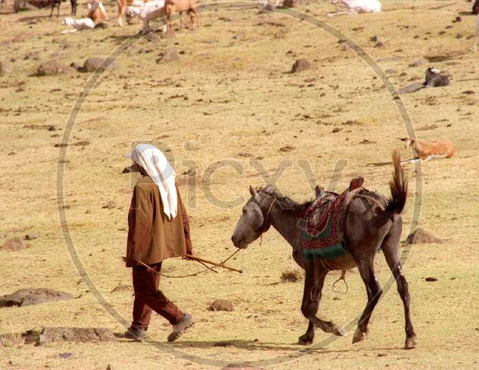 Man and horse going in the desert