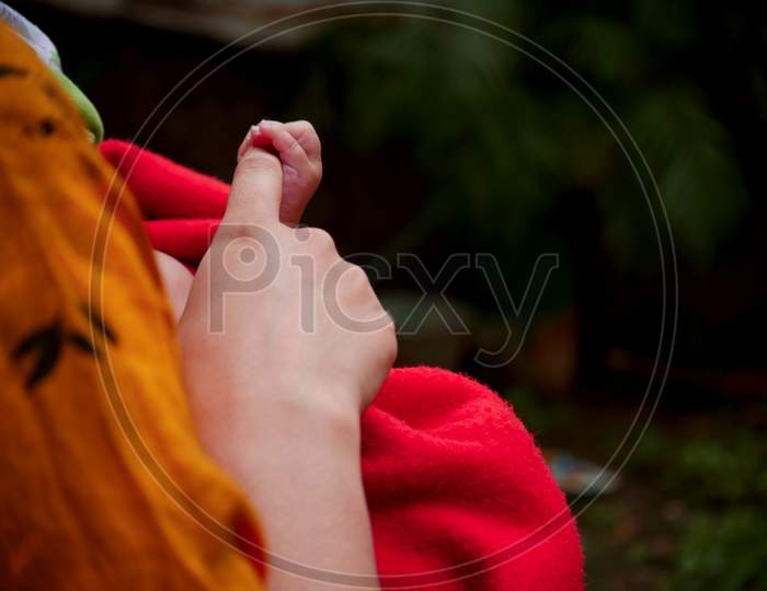 Mother Finger Holding By Baby Hand Side Frame Loving Concept.
