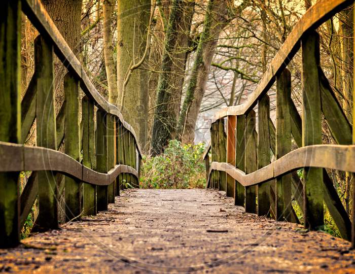 wooden Bridge in the forest.