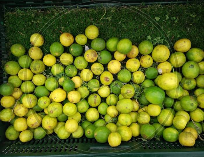 Fresh lemons . Box of yellow lemons with fresh lemons . Top view