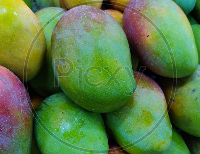 Image of Fresh mango ripes are ready to export mangoes to USWT111997Picxy