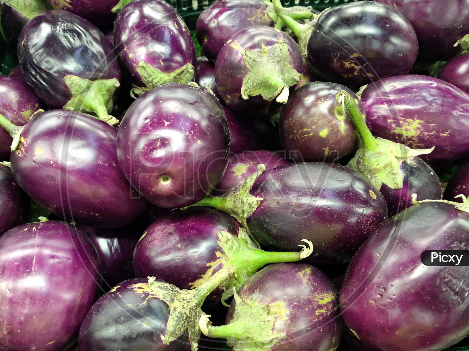 Top-down view of a heap of Brinjal on market .