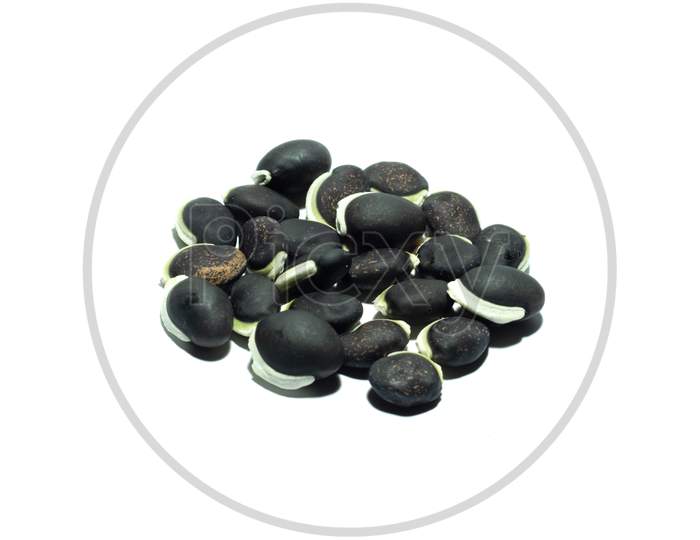 The Black And White Bean Seeds Isolated On A White Bg On Top Shot