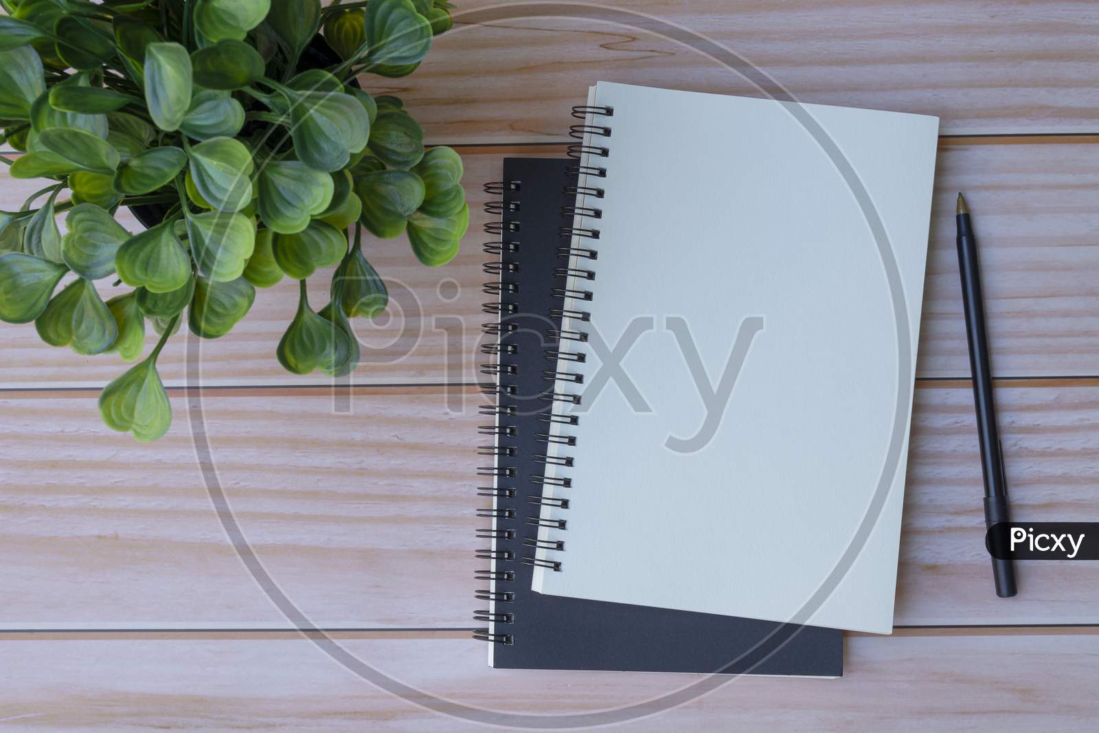 Note Book And Potted Plant On Wooden Table. Space For Text. Flat Lay, Top View
