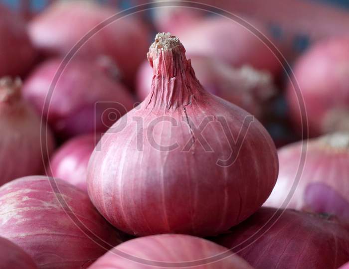 Red Onion, Macro Photo