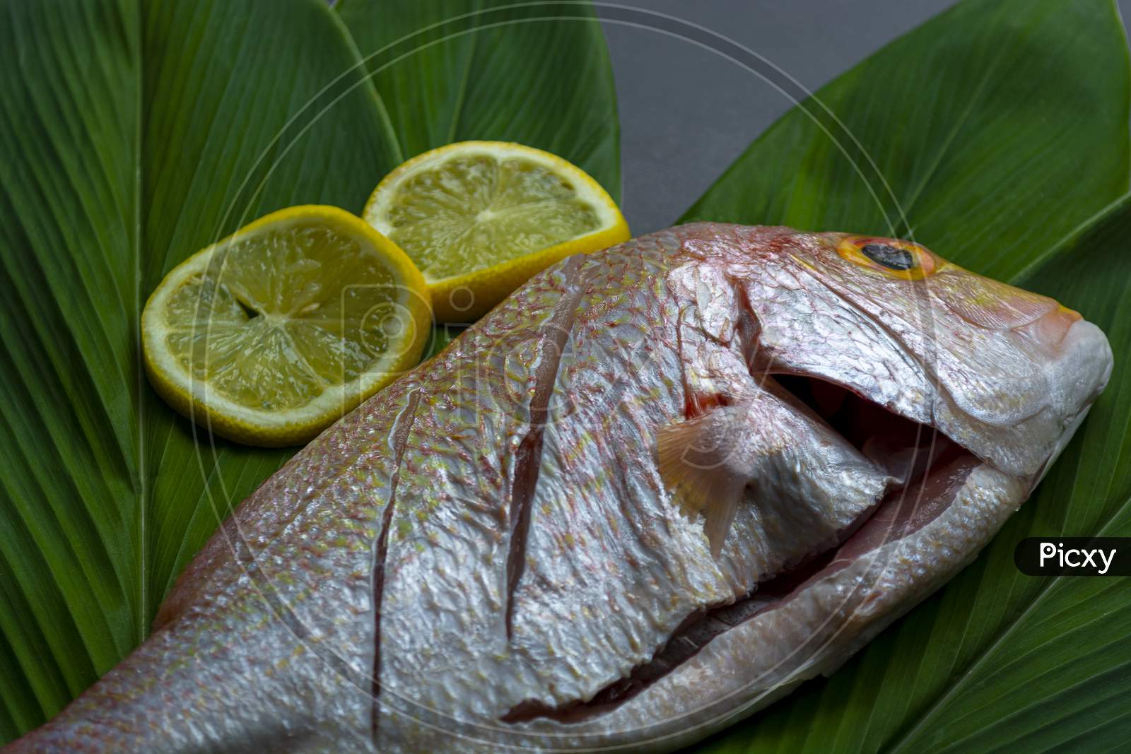 Fresh Raw Fish With Green Leaf And Lemon