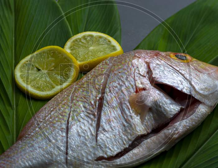 Fresh Raw Fish With Green Leaf And Lemon