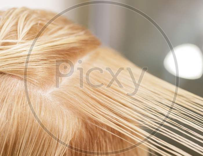 Hair On The Head Of The Model Is Divided Neatly Into Areas For Haircut And Dyeing. Selective Focus