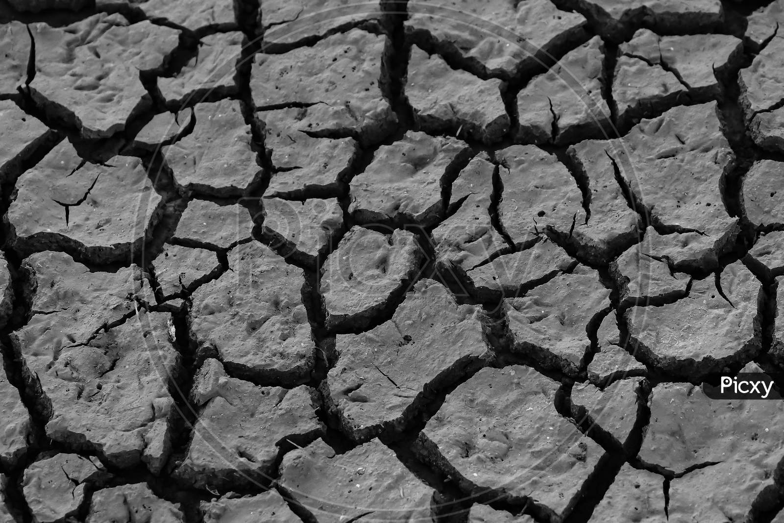 Image of Dry piece of land with cracks and on it in monochrome