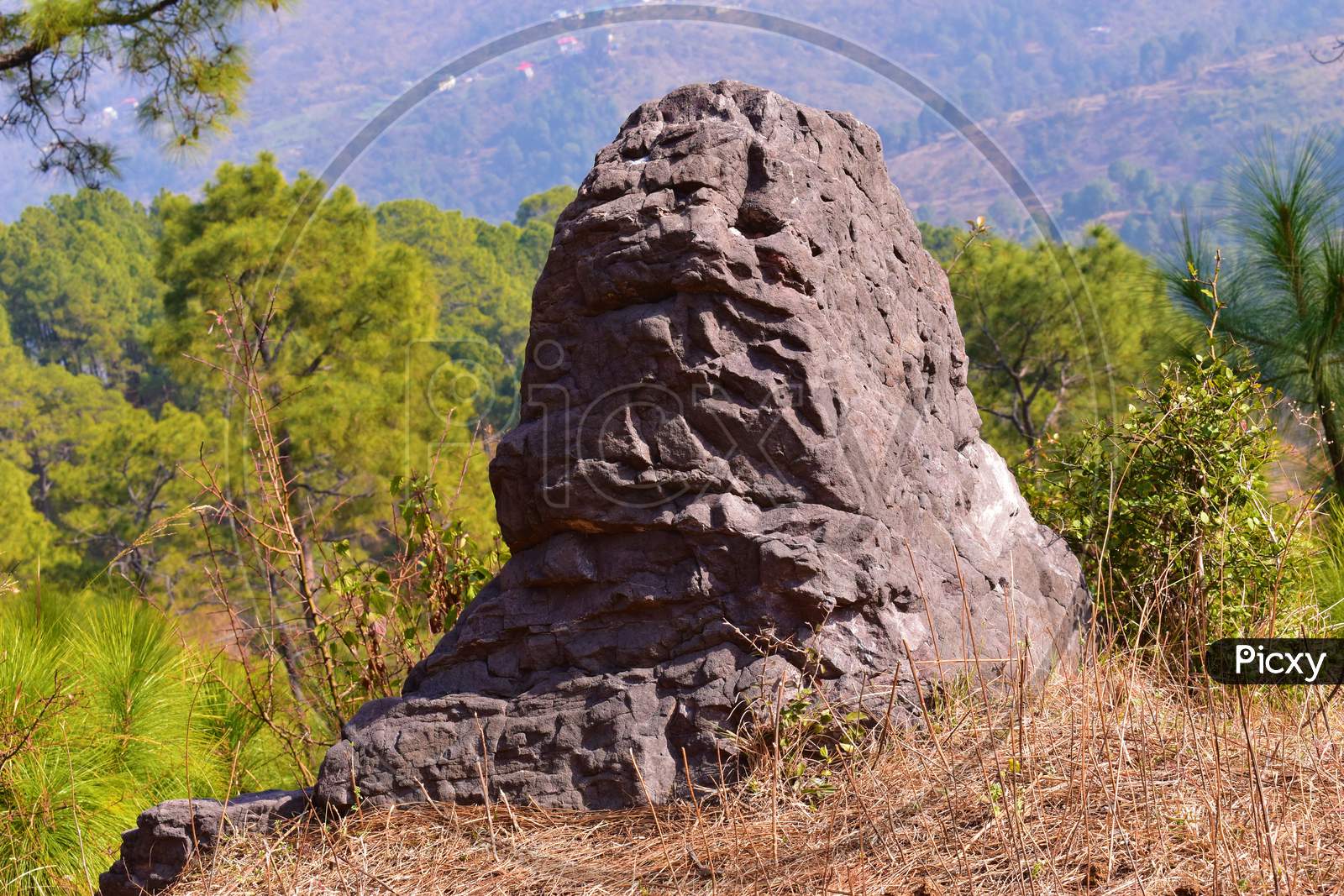 A Big Rock In Forest Background