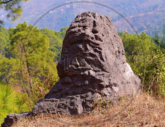 A Big Rock In Forest Background