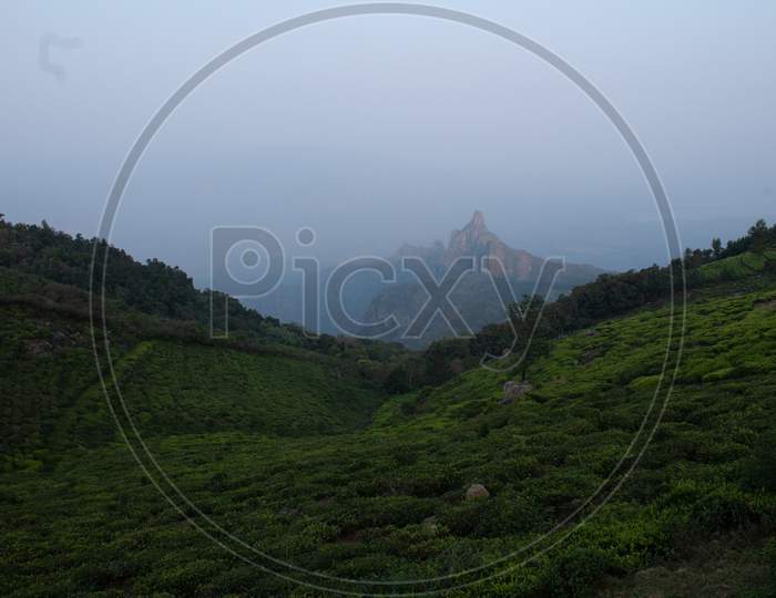View Of Rangaswamy Peek In Kodanadu Tea Estate In The Early Morning. Clouds Passing Or Touching Top Of The Peek Or Mountain In Kodanadu