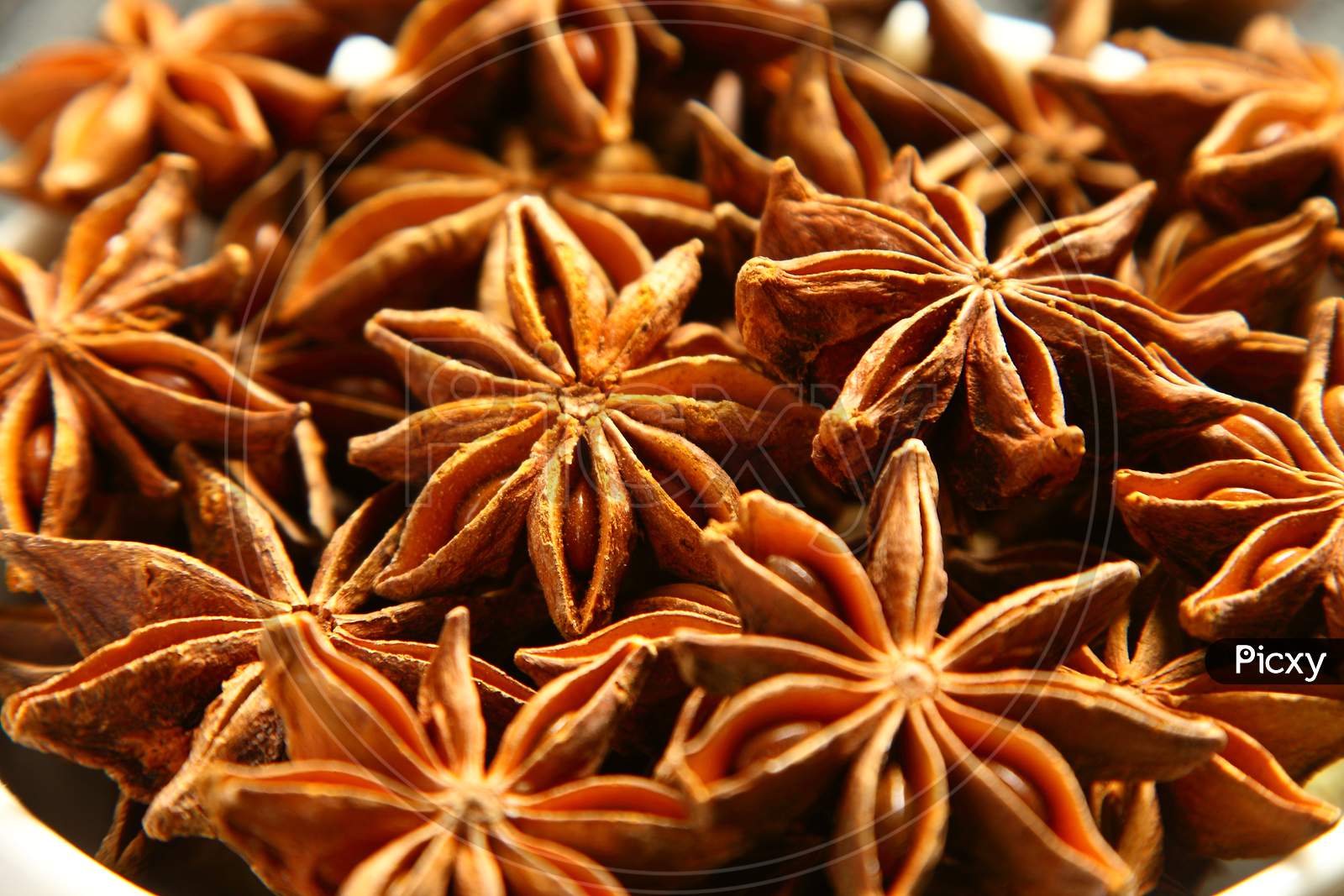 spices background- star anise close up.