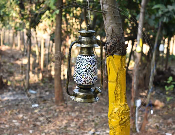 Image Of A Decorative Antique Lantern Hang In A Tree