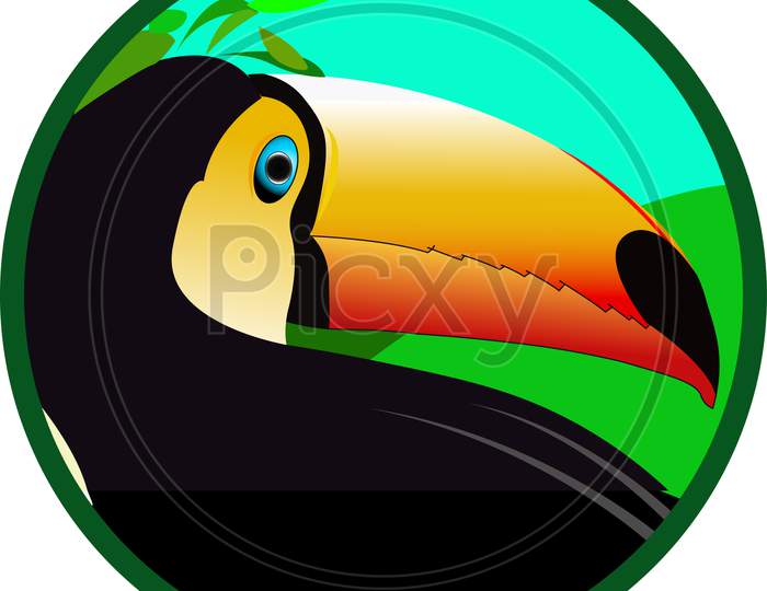 Image of logo np244689 picxy