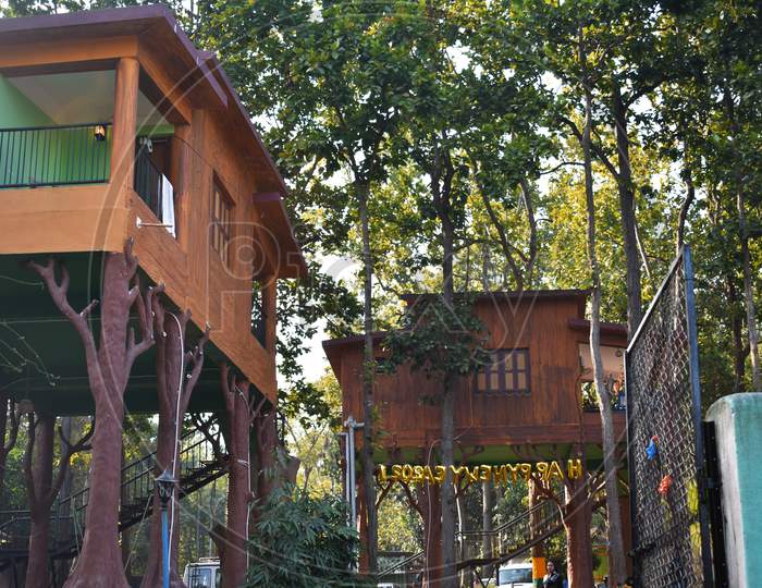 Tree Houses Between A Deep Forest With Green Surroundings