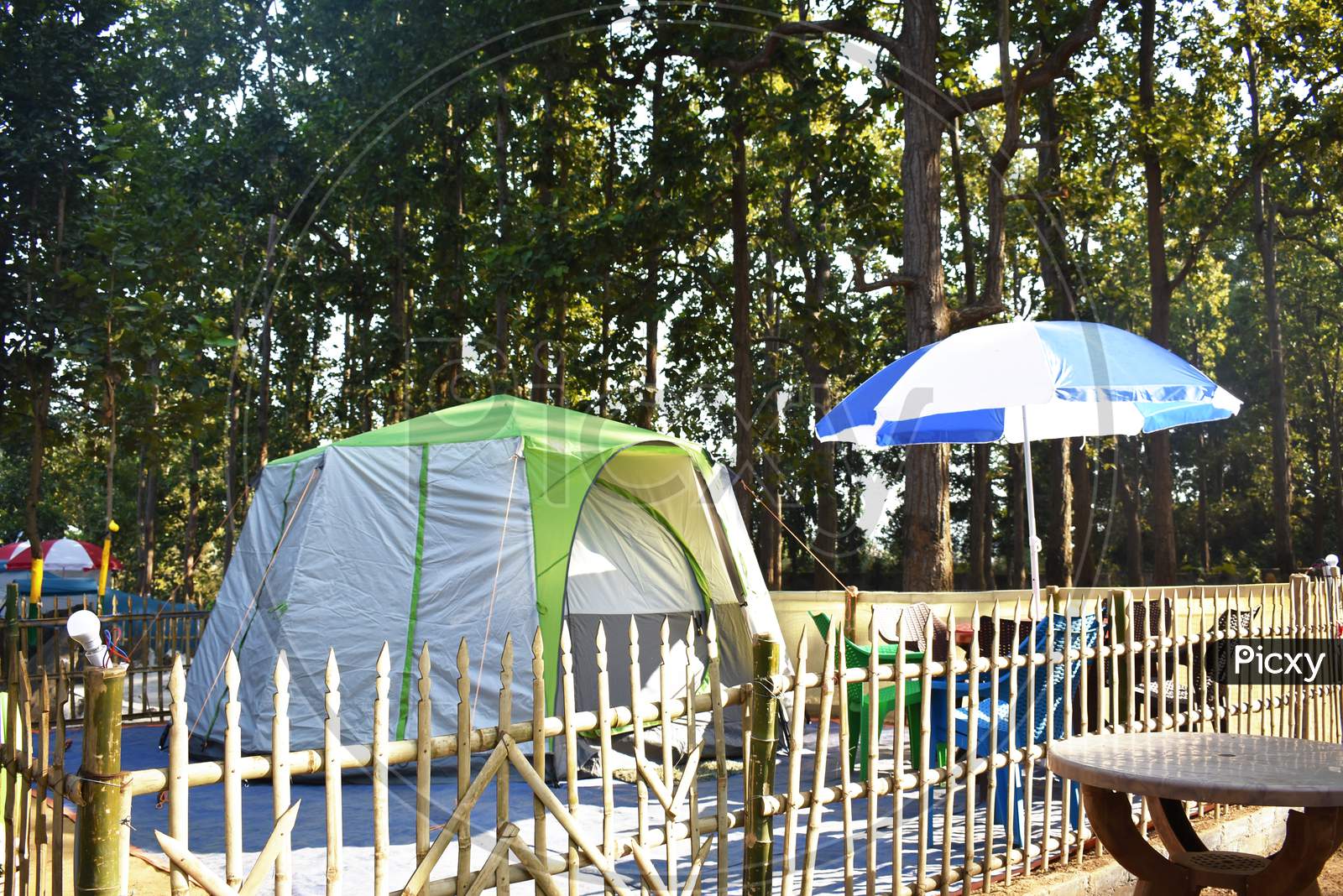 Green Tent In A Resort Between A Forest With Green Trees In The Surroundings