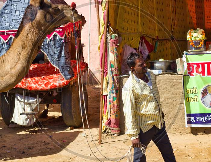 Pushkar, India - November 10, 2016: A Man Walking His Camel In Famous Pushkar Or Kartik Fair. India'S Largest Camel, Horse And Cattle Fairs
