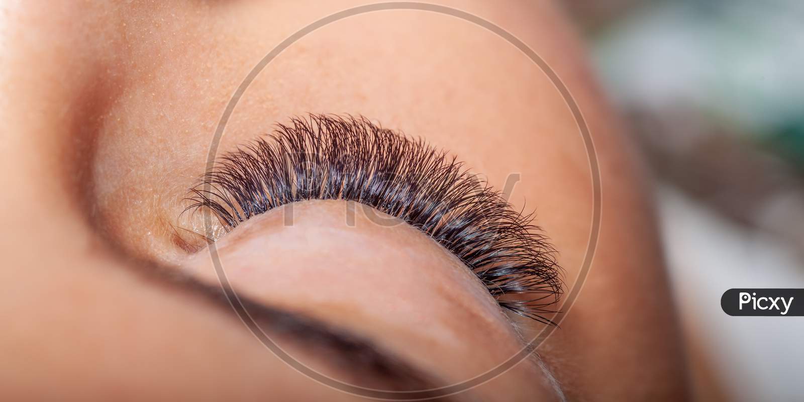 Woman Eyes With Eyelashes Extension. Lashes Extension.
