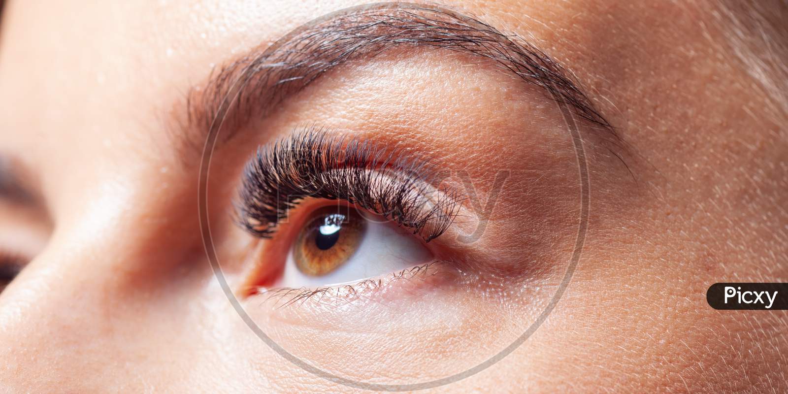 Woman Eyes With Eyelashes Extension. Lashes Extension.