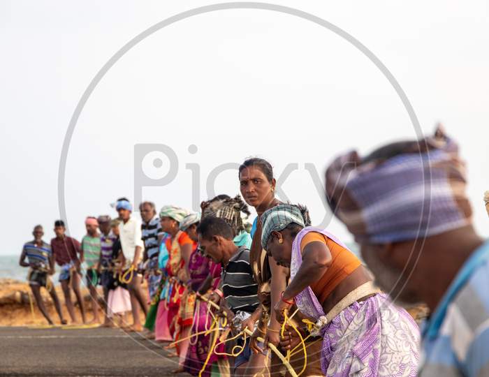 Chennai, Tamil Nadu, India - Rameswaram 19 01 2021: People Pulling Up The Rope Of Fishing Nets On The Shore