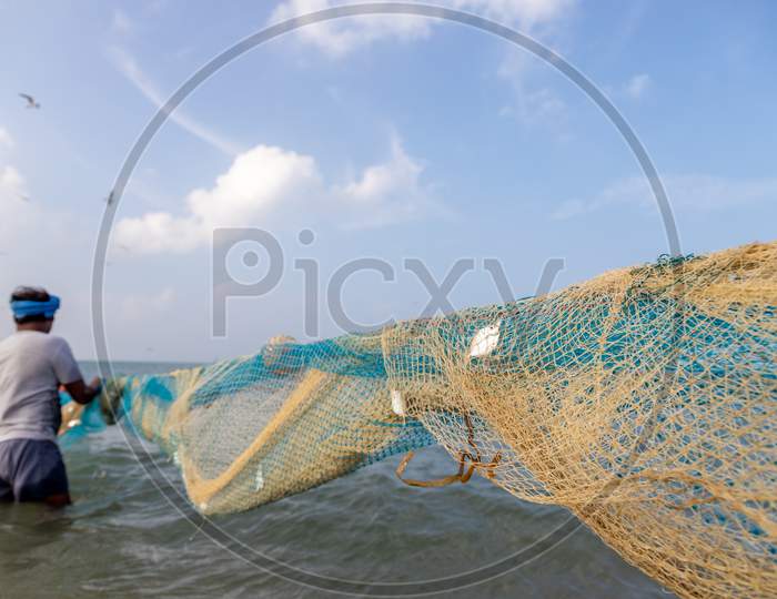 Chennai, Tamil Nadu, India - Rameswaram 19 01 2021: Fish Caught On Fish Net