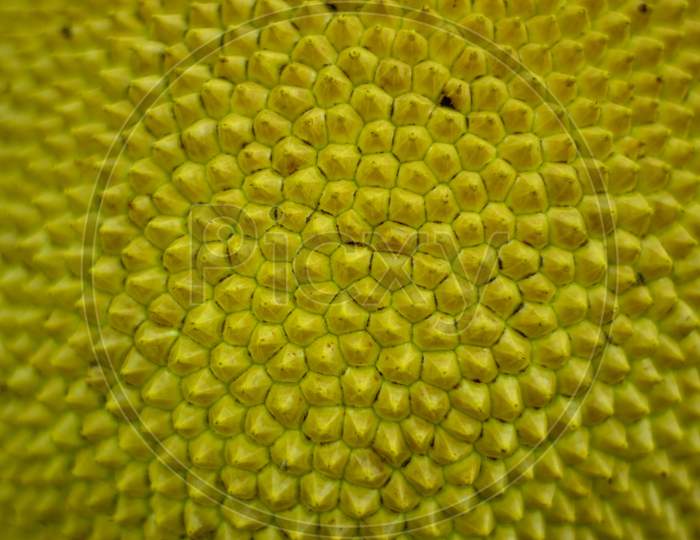 Jackfruit Is A Delicious Tropical Fruit That Thorn Skin Pattern