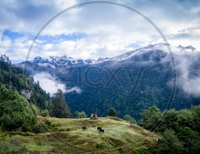 Tsokha Landscape, Sikkim, India