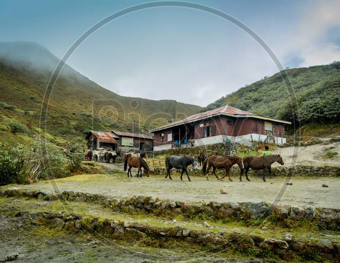 Dzongri Campsite, Sikkim, India