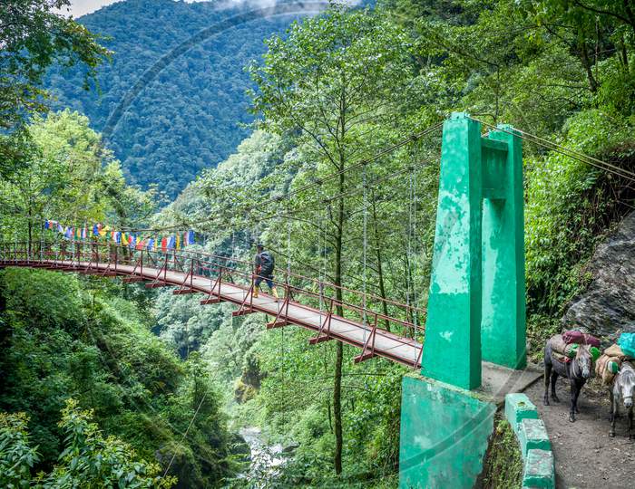 The Bridge Over Pha Khola, Sikkim, India