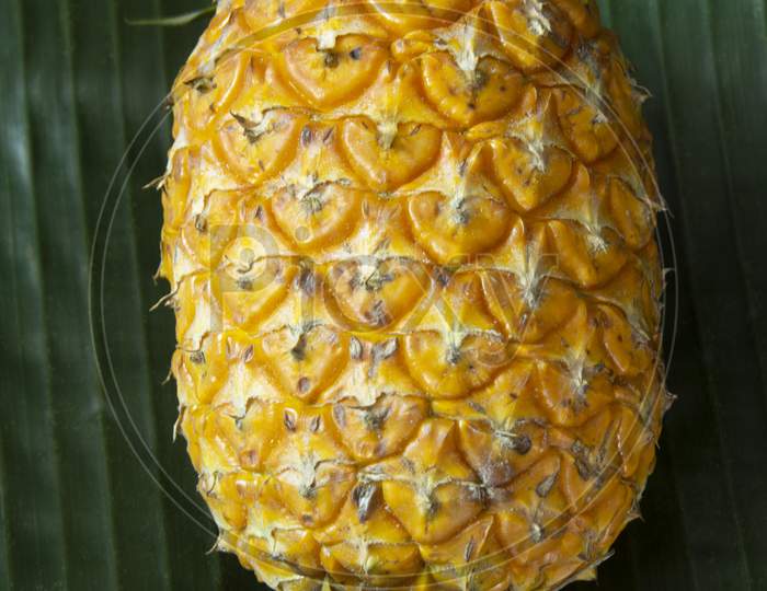 The Pineapple Is A Tropical Plant With An Edible Fruit And The Most Economically Significant Plant In The Family Bromeliaceae