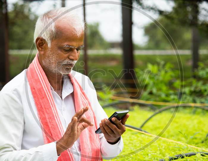 Indian Farmer Busy Using Mobile Phone While Sitting In Between The Crop Seedlings Inside Greenhouse Or Poly House - Concept Of Farmer Using Technology And Internet