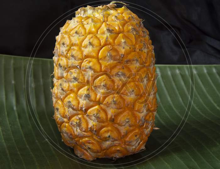 The Pineapple Is A Tropical Plant With An Edible Fruit And The Most Economically Significant Plant In The Family Bromeliaceae
