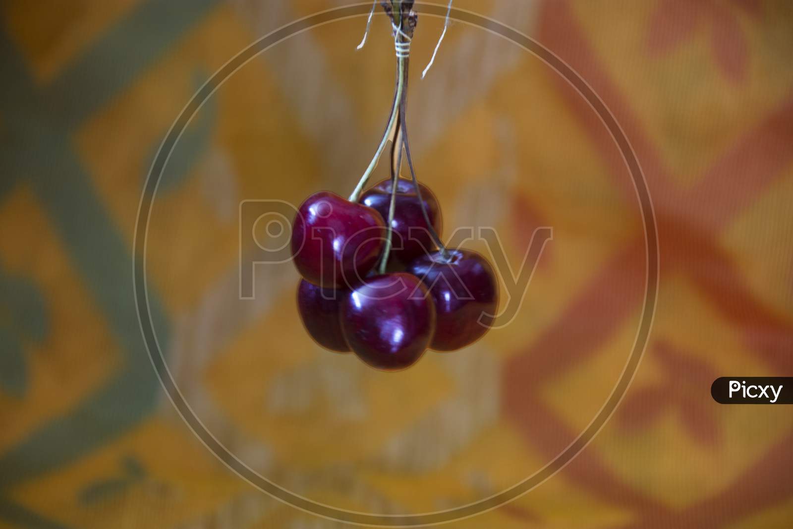 A Cherry Is The Fruit Of Many Plants Of The Genus Prunus, And Is A Fleshy Drupe