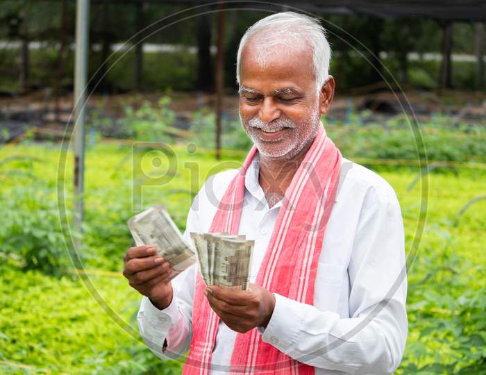 Happy Smiling Indian Farmer Counting Currency Notes Inside The Greenhouse Or Polyhouse - Concept Of Profit Or Made Made Money From Greenhouse Farming Cultivation