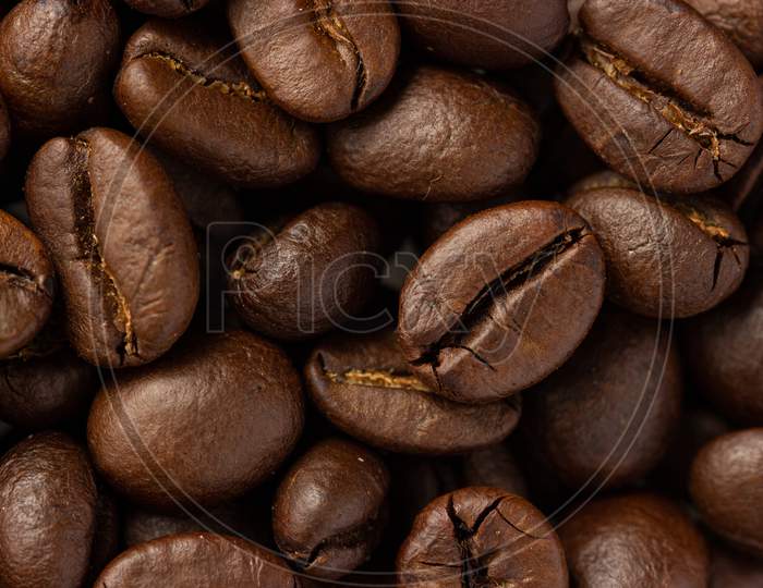 Coffee Bean Close Up