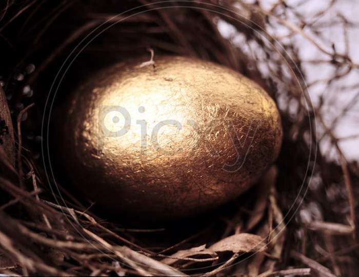 Easter Egg With Gold Paint In Nest