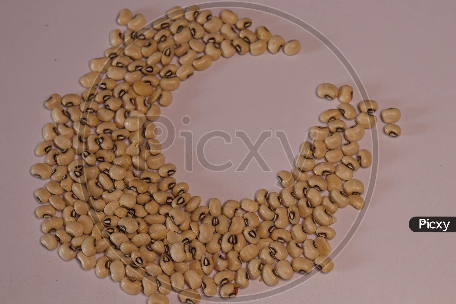 Raw Organic Black Eyed Peas Beans Isolated on a White Background